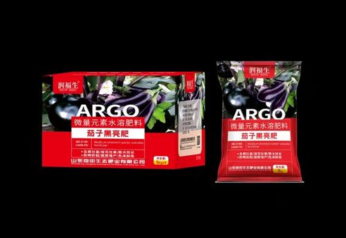 ����-���Ӻ�����