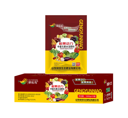 ������-�������