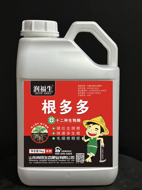 ����-�����